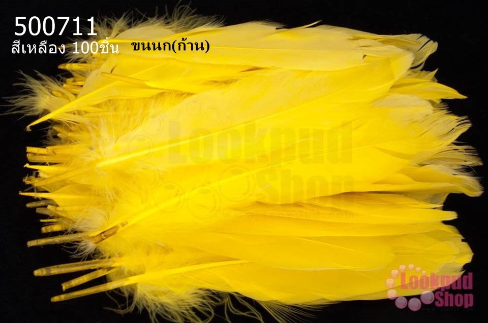 ขนนก(ก้าน) สีเหลือง 100ชิ้น