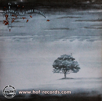 Genesis - Wind & Wuthering 1977 1lp
