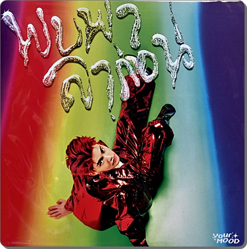 Your Mood - พบพา ลาก่อน 1Lp New