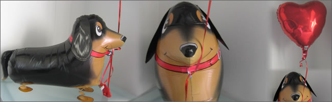 Dachshund Dog Walking Balloons - น้องหมาดัชชุนบอลลูน / TL-K014
