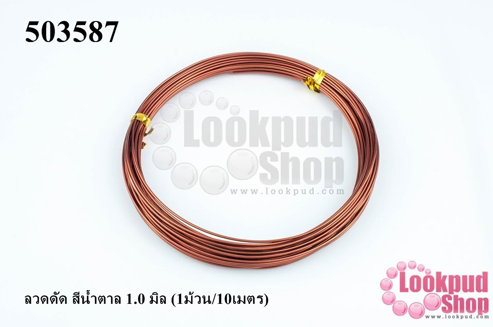 ลวดดัด สีน้ำตาล 1.0 มิล (1ม้วน/10เมตร)