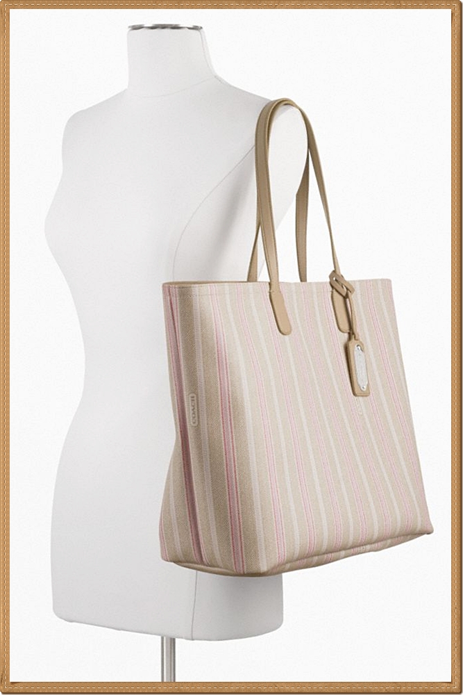 Coach Legacy Weekend Ticking Stripe PVC Large Dogleash Tote 23103
