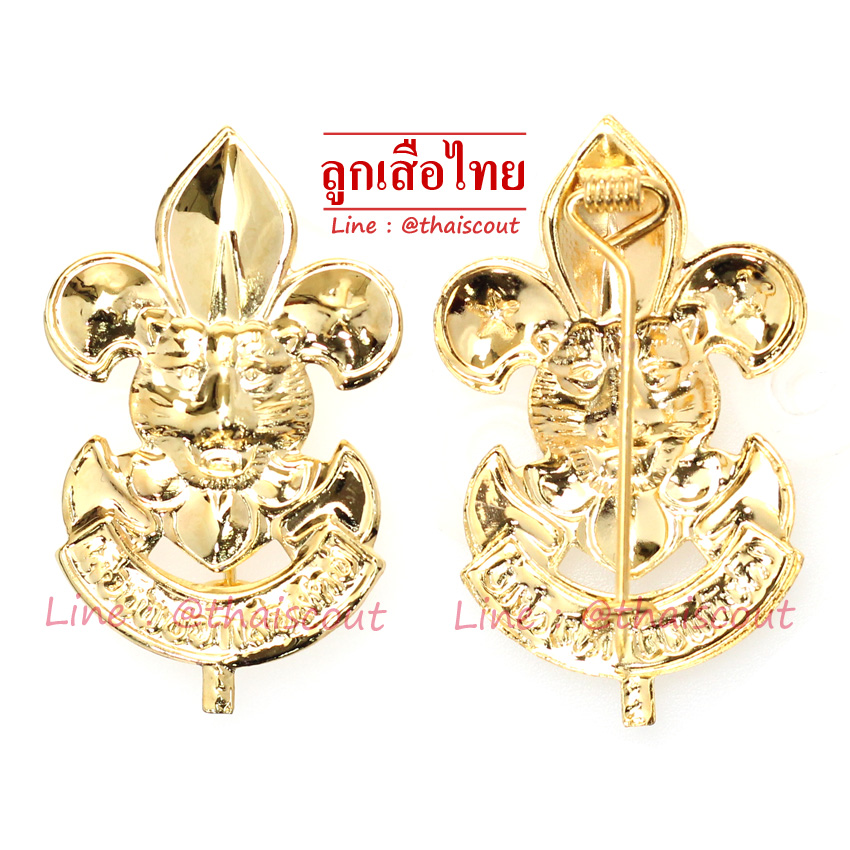 หน้าเสือเอกเข็มครูชุบทอง (ห่อละ 100 อัน)