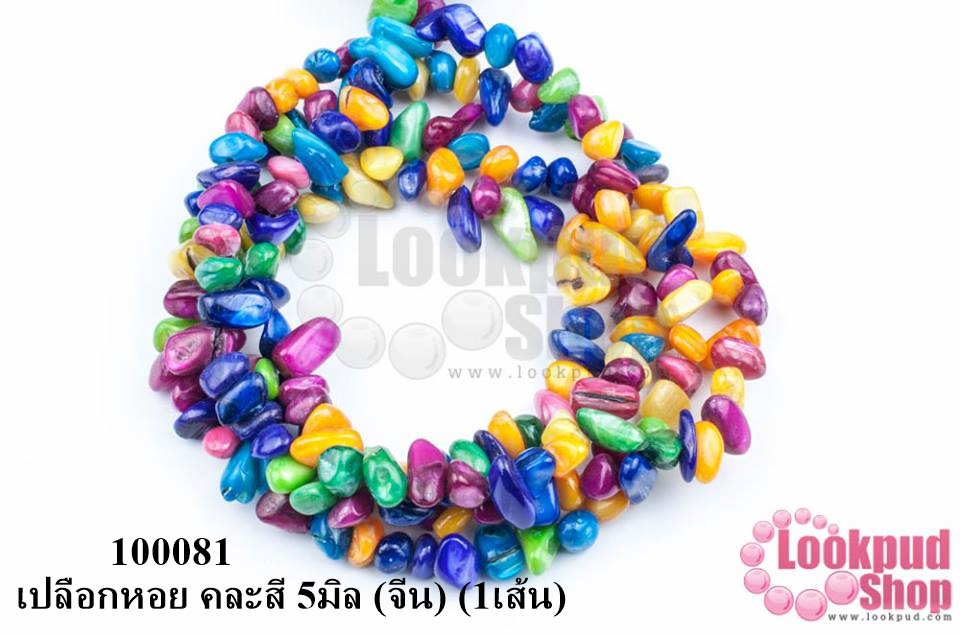 เปลือกหอย คละสี 5มิล (จีน) (1เส้น)