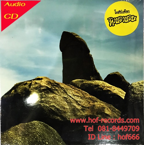 CD โยมเดิร์นด๊อก Moderndog - ทิงนองนอย * New