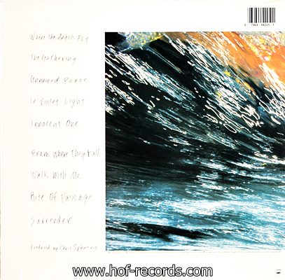 Chris Spheeris - Pathways To Surrender 1988 1lp