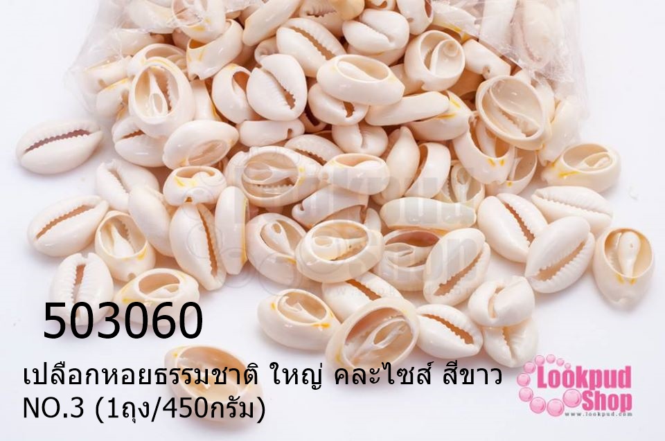 เปลือกหอยธรรมชาติ ใหญ่ คละไซส์ สีขาว NO.3 (1ถุง/450กรัม)