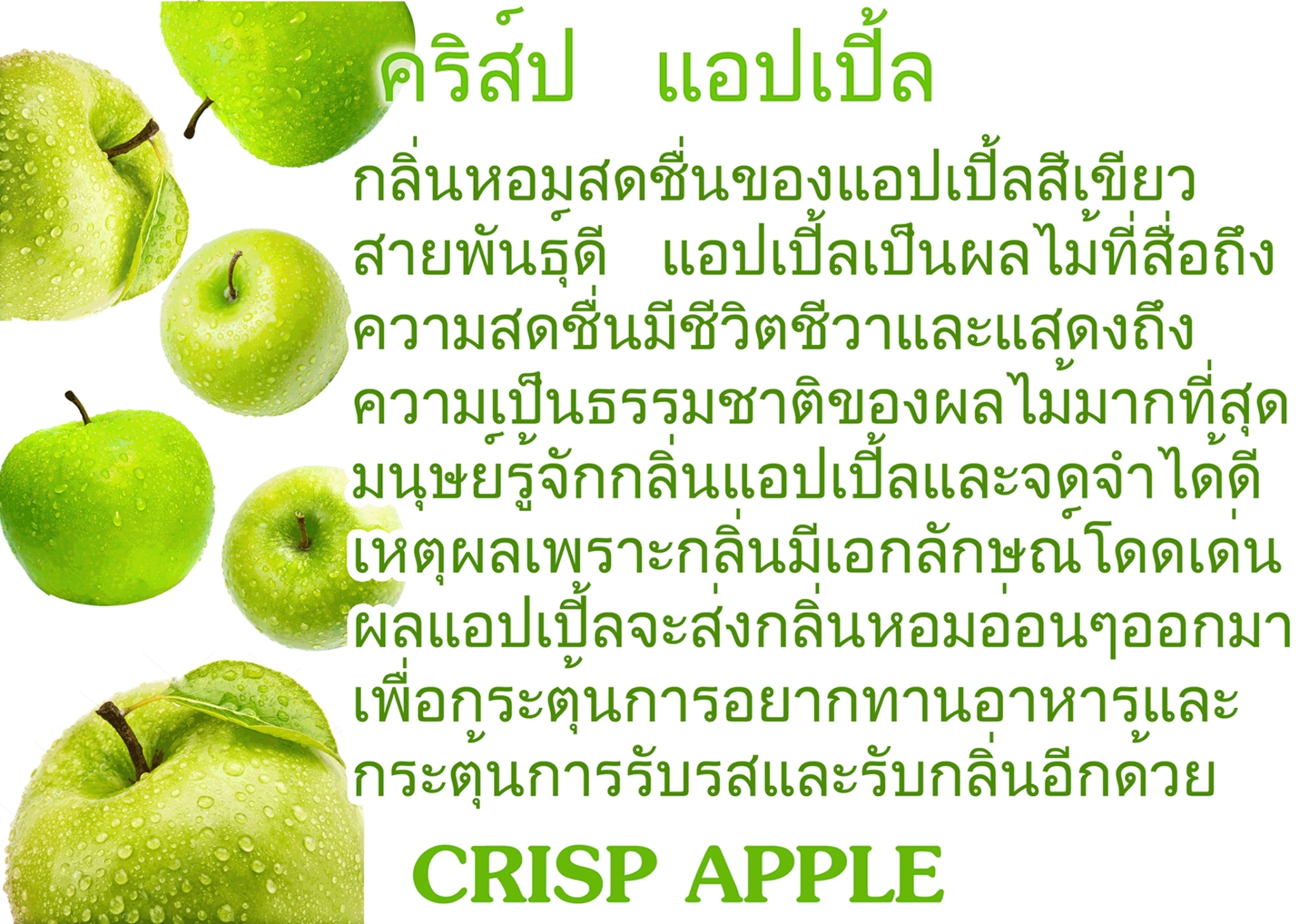 Scentnature ก้านไม้หอมอโรม่าปรับอากาศScentnature กลิ่น Crisp Apple