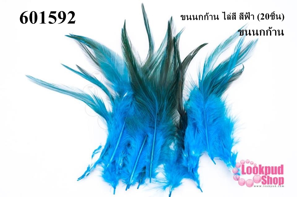 ขนนกก้าน ไล่สี สีฟ้า (20ชิ้น)