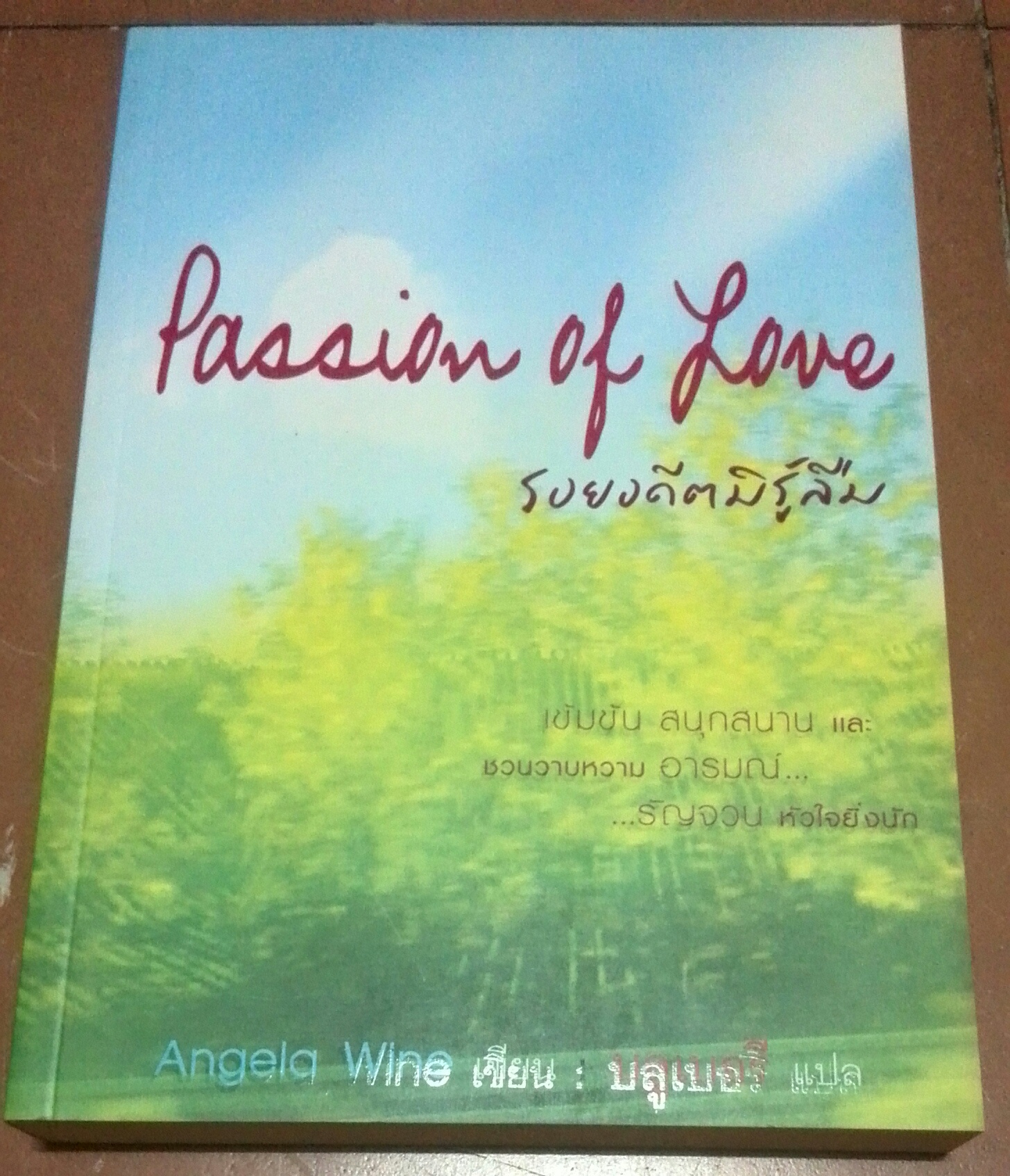 นิยายแปล "รอยอดีตมิรู้ลืม Passion of Love" (เล่มเดียวจบ)