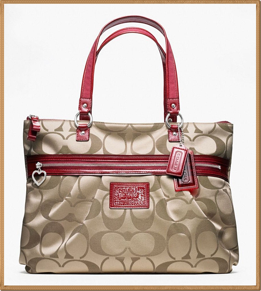 Coach Daisy Signature Tote 20026