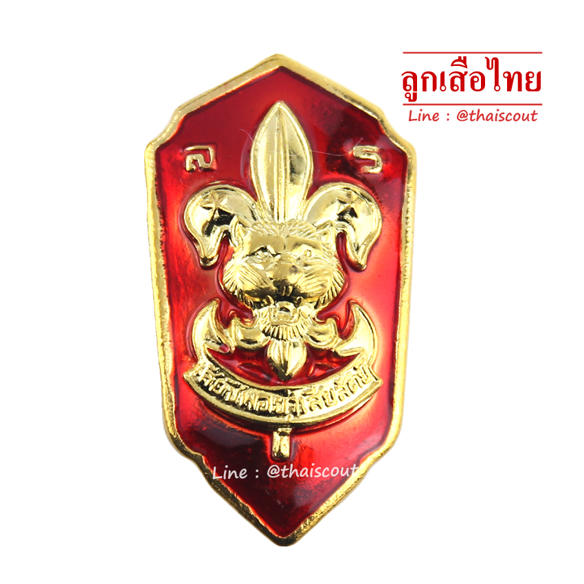 เหรียญเรซิ่น รองผู้กำกับลูกเสือสำรอง (อัน)