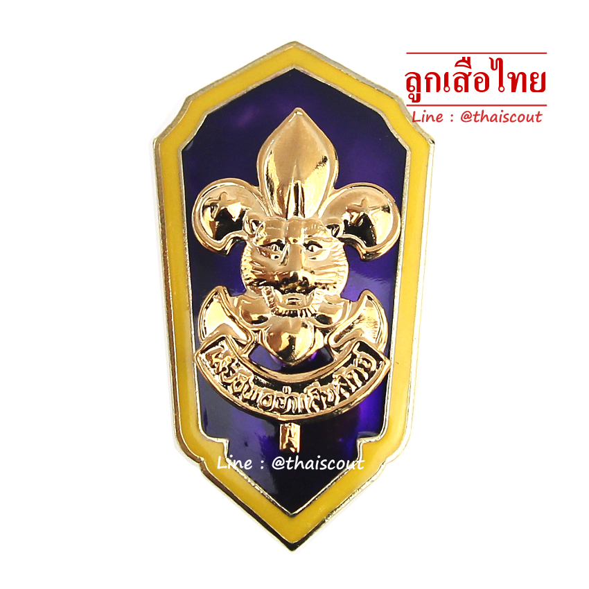 เหรียญเรซิ่น ผู้อำนวยการ, รองผู้อำนวยการ, ผู้ตรวจการ, รองผู้ตรวจการ กรรมการลูกเสือจังหวัด (อัน)