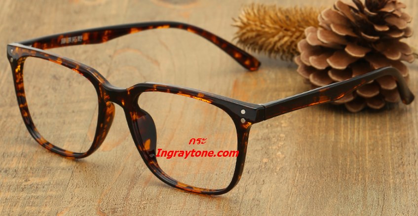 แว่นตาวินเทจ หน้าใหญ่ TR90 เรโทร Mosco ทรงคางหมู 4dot (สีกระ ดำขาแดงไม้ น้ำตาลไม้ ดำเงา ดำไม้)