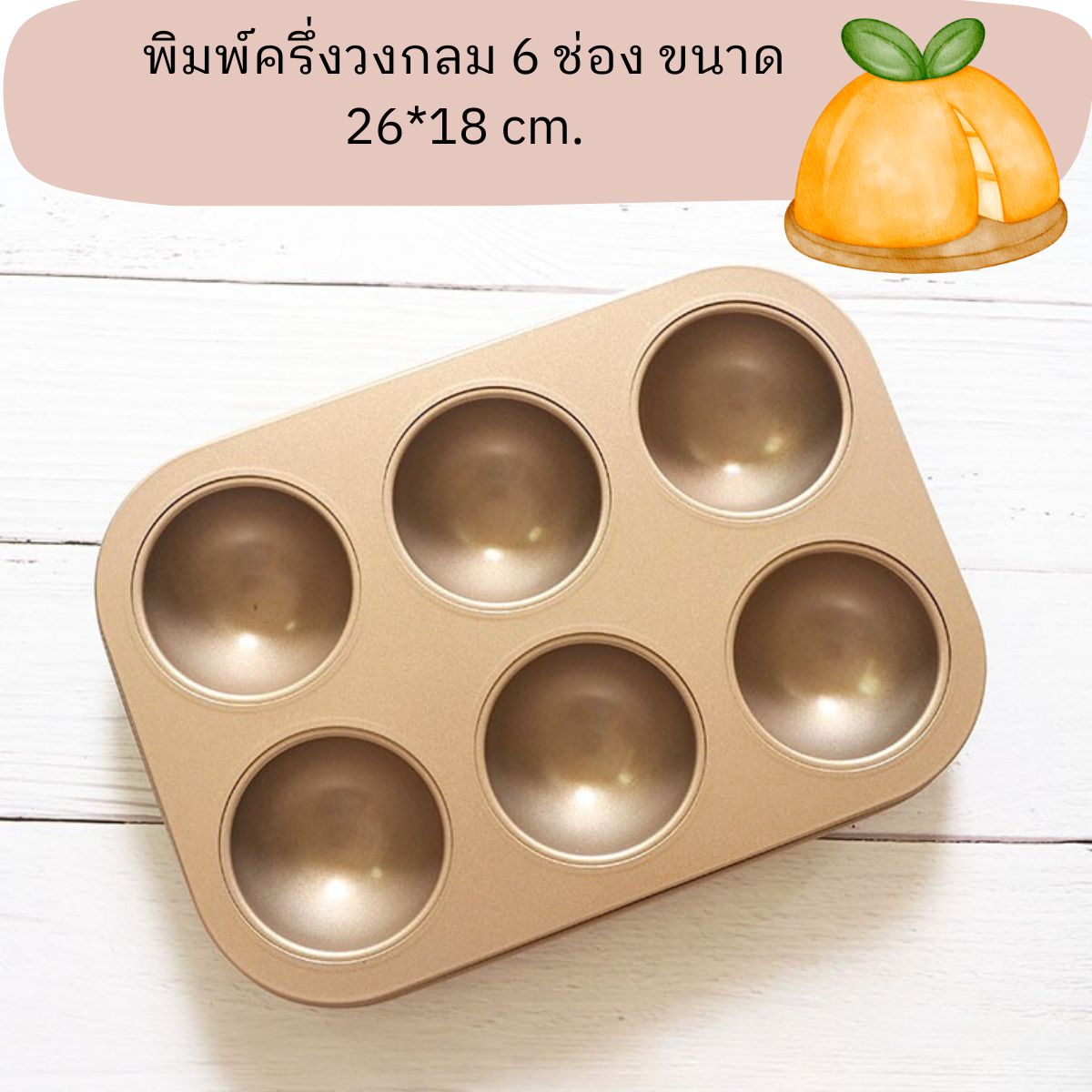 พิมพ์รูปครึ่งวงกลม 6 ช่อง ขนาด 26*18 cm.