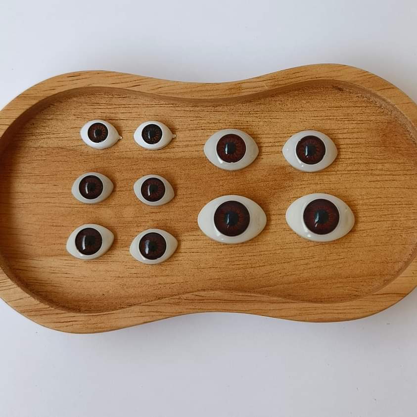 ตาตุ๊กตา น้ำตาล 16.5*11.5 มม. ชิ้นละ 15 บาท เท่านั้น!!! #มีเก็บปลายทาง