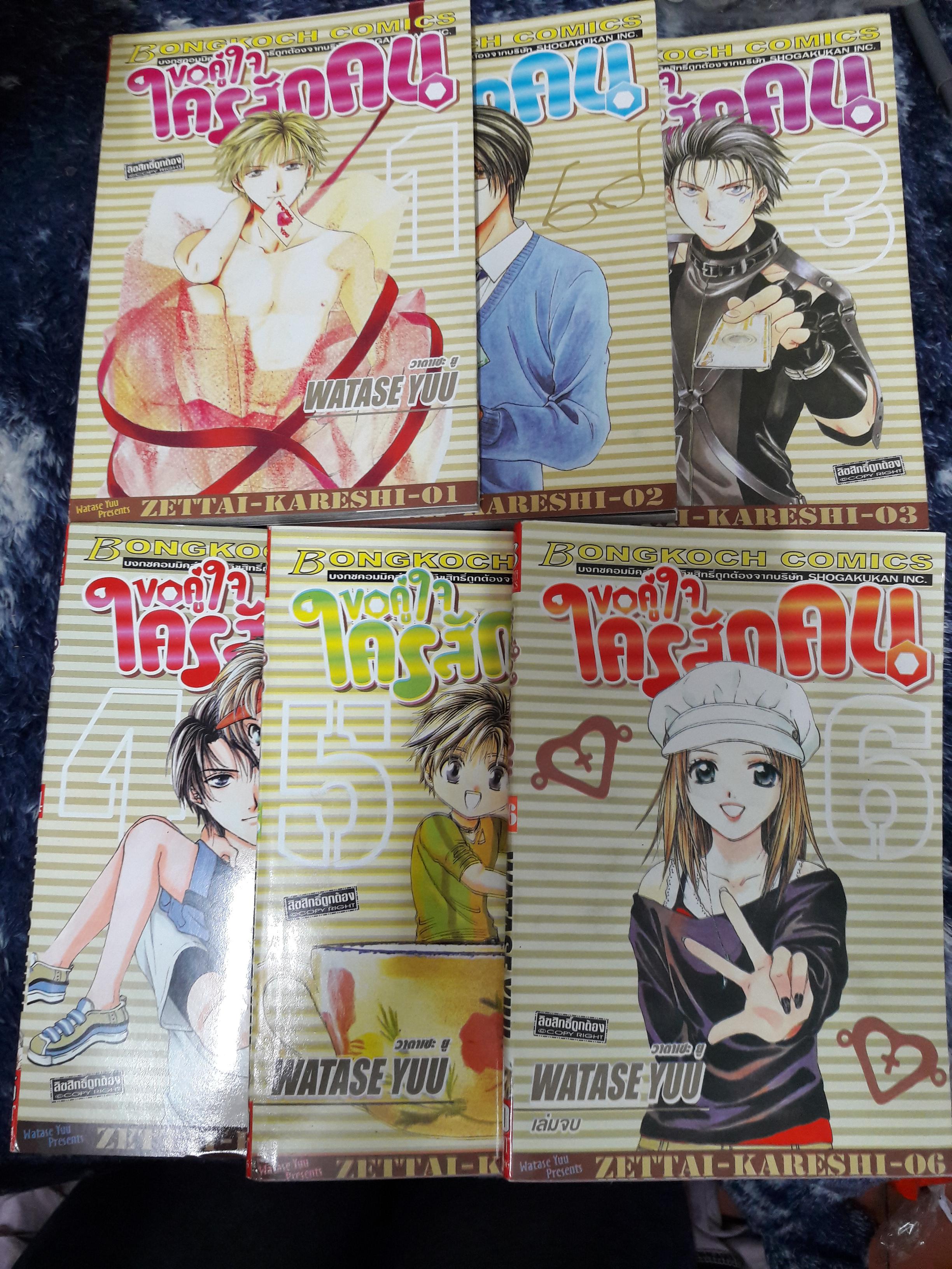 ขอคู่ใจใครสักคน (6เล่มจบ)