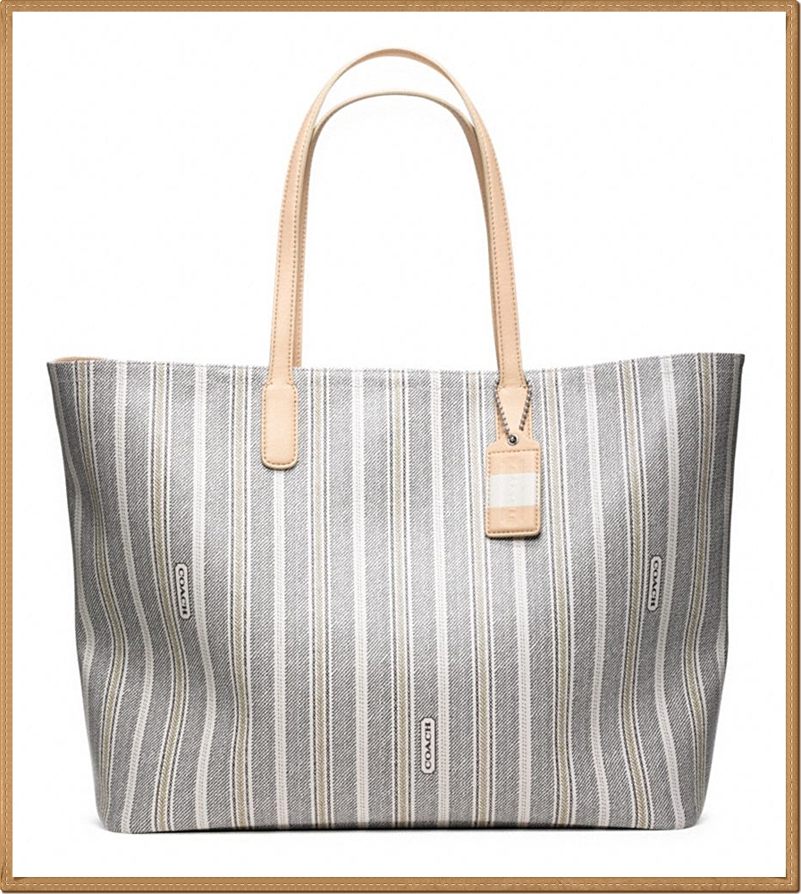 Coach Legacy Weekend Ticking Stripe PVC Large Dogleash Tote 23103