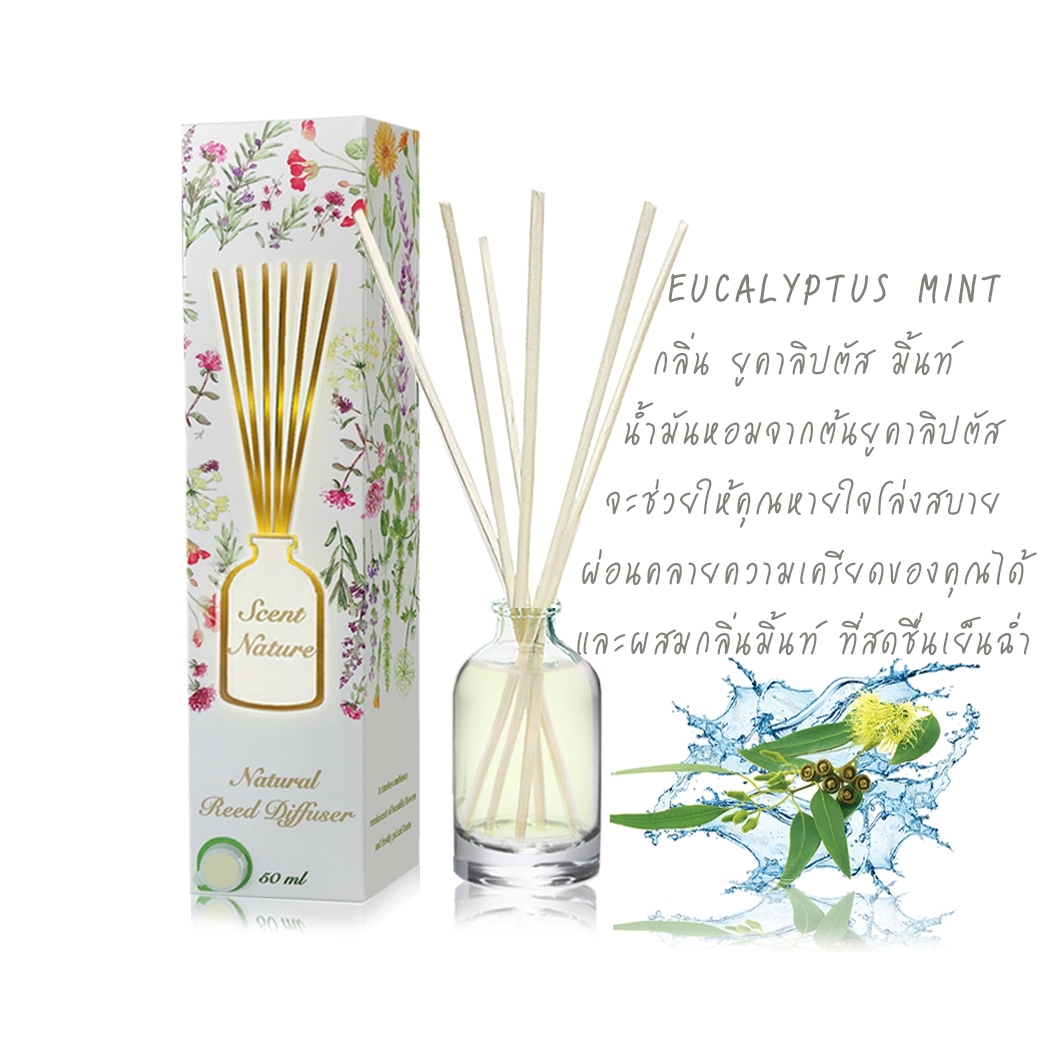 Scentnature ก้านไม้หอมอโรม่าปรับอากาศScentnature กลิ่น Eucalyptus Mint