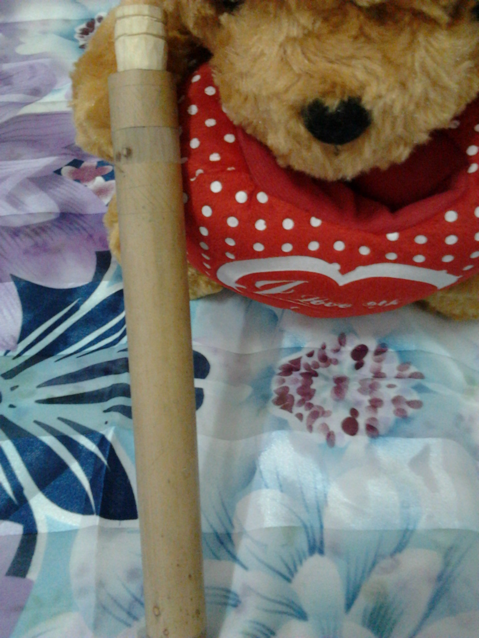 กีต้าร์ปาก ทำจากไม้ไผ่พร้อมกระบอกเก็บ