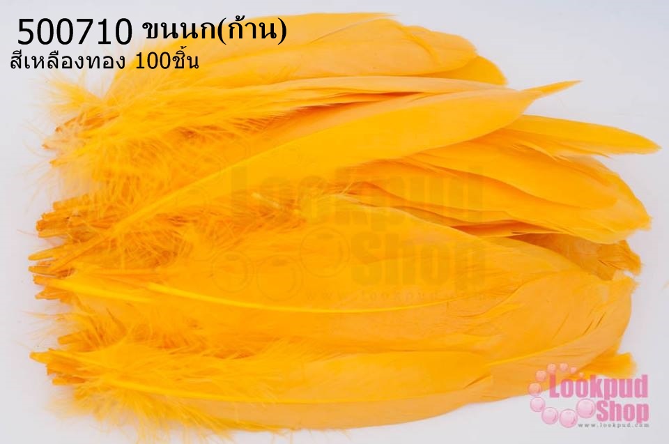 ขนนก(ก้าน) สีเหลืองทอง 100ชิ้น