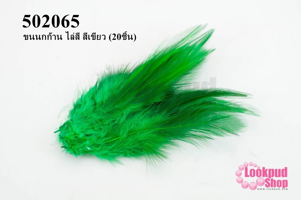 ขนนกก้าน ไล่สี สีเขียว (20ชิ้น)