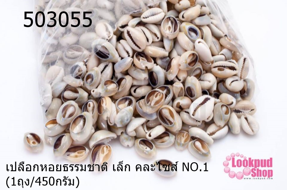 เปลือกหอยธรรมชาติ เล็ก คละไซส์ NO.1 (1ถุง/450กรัม)