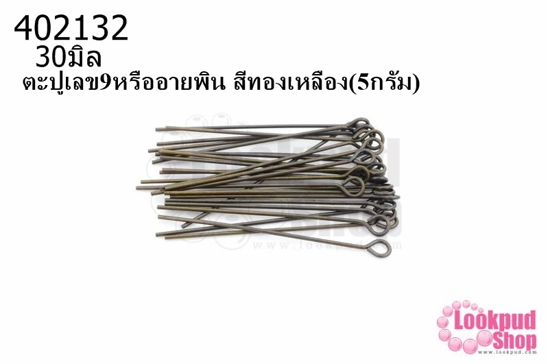 ตะปูเลข9หรืออายพิน สีทองเหลือง (A) #30มิล (5กรัม)