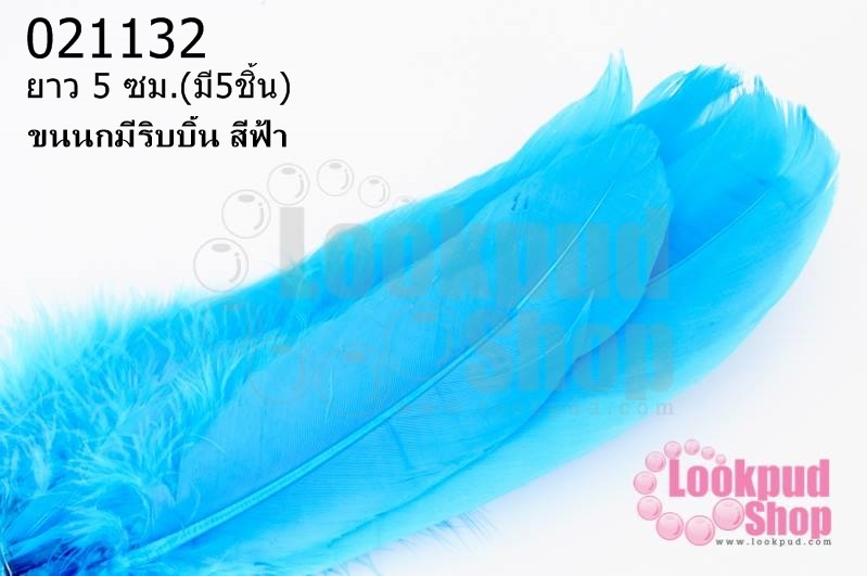 ขนนกมีริบบิ้น สีฟ้า ยาว 5 ซม.