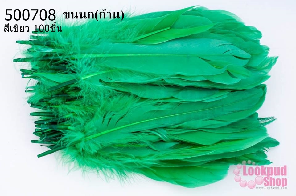 ขนนก(ก้าน) สีเขียว 100ชิ้น