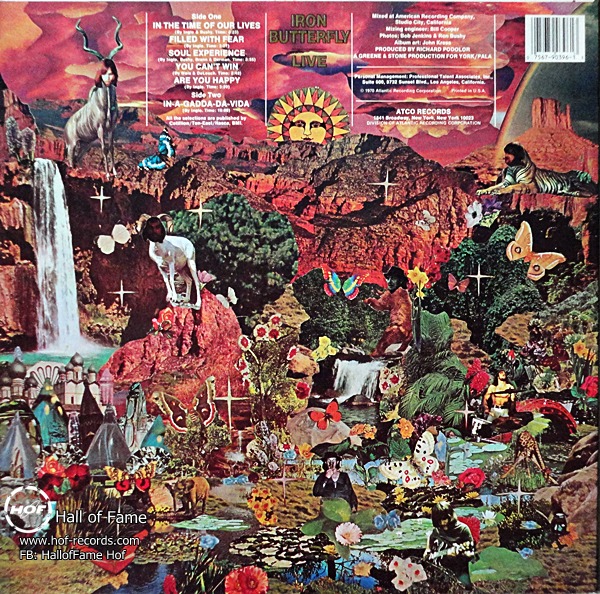 Iron Butterfly -Live