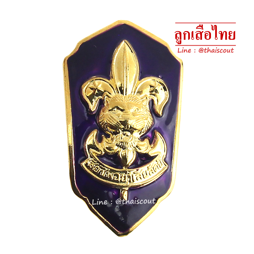 เหรียญเรซิ่น ผู้อำนวยการลูกเสือโรงเรียน, รองผู้อำนวยการลูกเสือโรงเรียน (อัน)