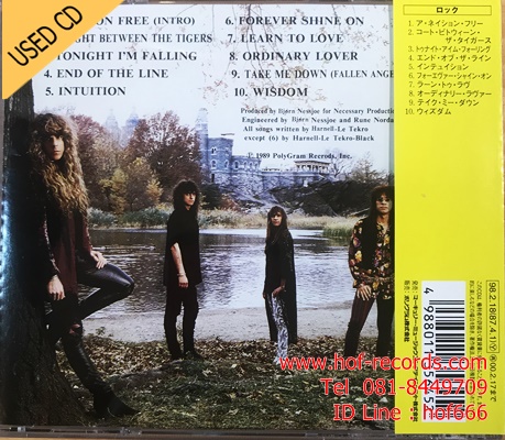 TNT - Intution (JP) Used CD 1 Dise VG++