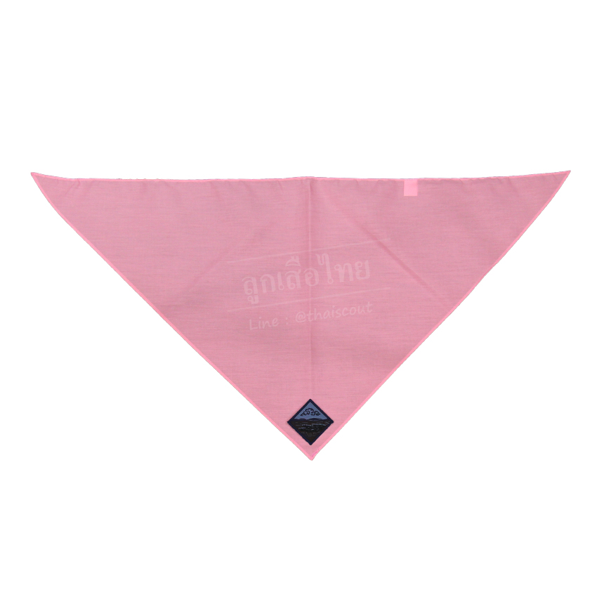 ผ้าพันคอลูกเสือ-เนตรนารีติดตราจังหวัด ขนาดใหญ่ (แซกตรา)(โหล)