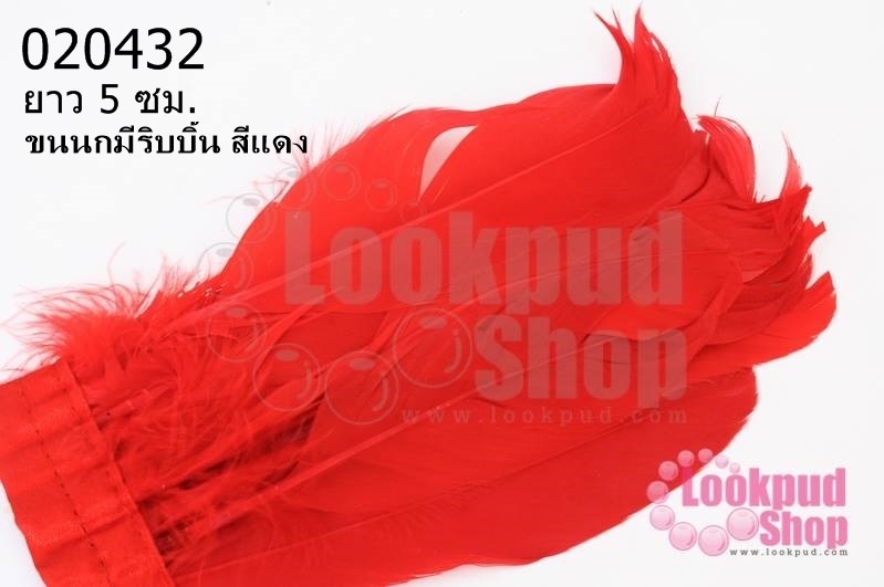 ขนนกมีริบบิ้น สีแดง ยาว 5 ซม.