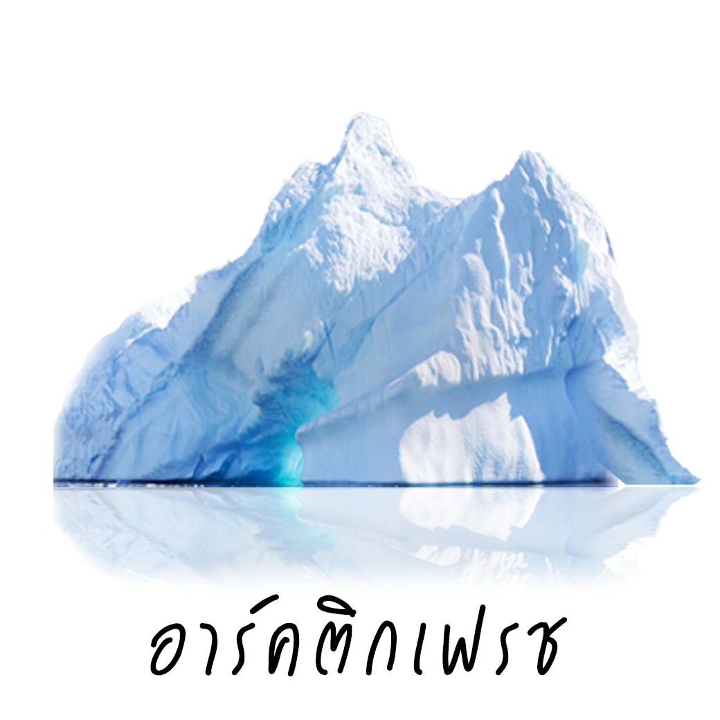 Scentnature ก้านไม้หอมอโรม่าปรับอากาศScentnature กลิ่น Arctic Fresh