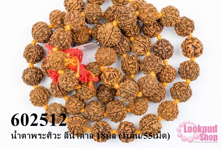 น้ำตาพระศิวะ สีน้ำตาล 18มิล (1เส้น/55เม็ด)