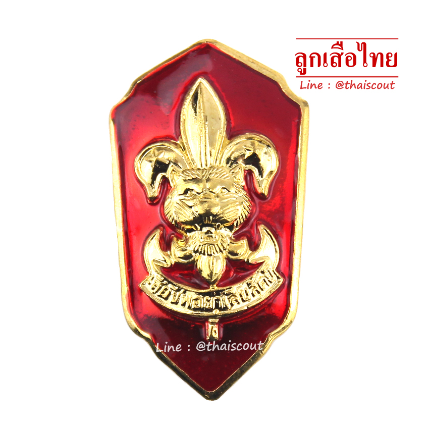 เหรียญเรซิ่น รองผู้กำกับลูกเสือสามัญ (อัน)