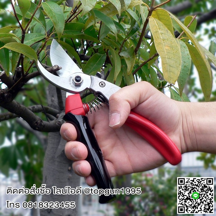 กรรไกรตัดกิ่งไม้ เออาร์เอส ARS Pruning Shears Rotary Type VS-8R