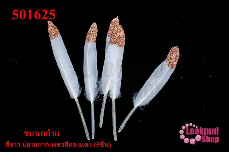ขนนกก้าน สีขาว ปลายกากเพชรสีทองแดง (5ชิ้น)