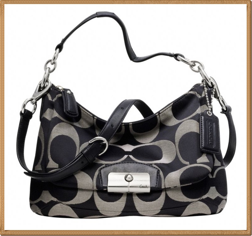 Coach Kristin Signature East-West Crossbody 22302