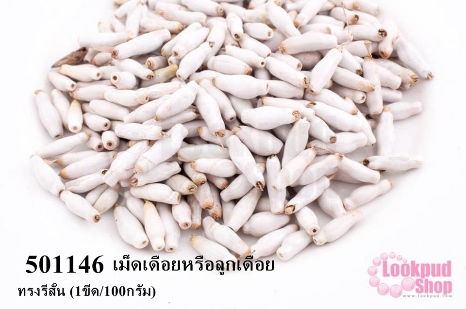 เม็ดเดือยหรือลูกเดือย ทรงรีสั้น (1ขีด/100กรัม)
