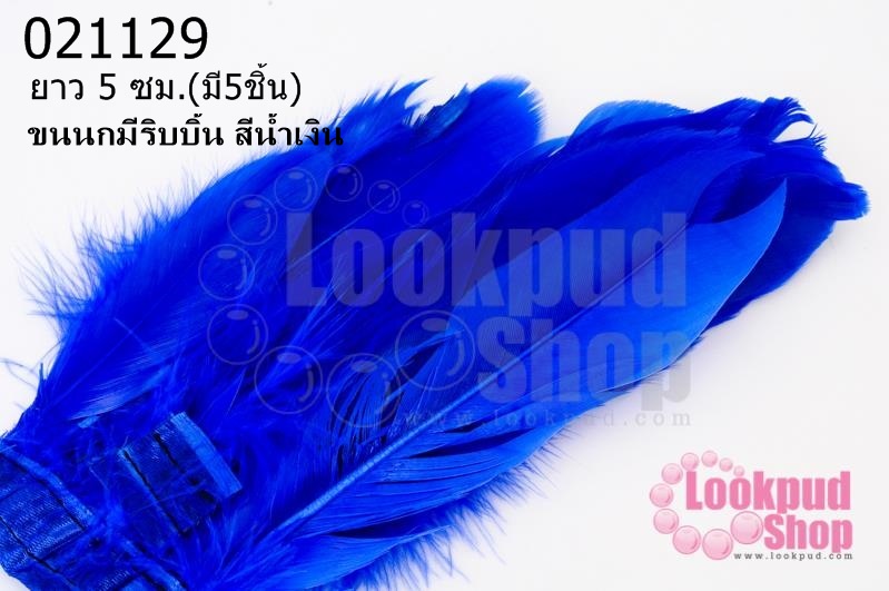 ขนนกมีริบบิ้น สีน้ำเงิน ยาว 5 ซม.