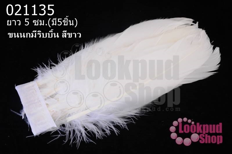 ขนนกมีริบบิ้น สีขาว ยาว 5 ซม.