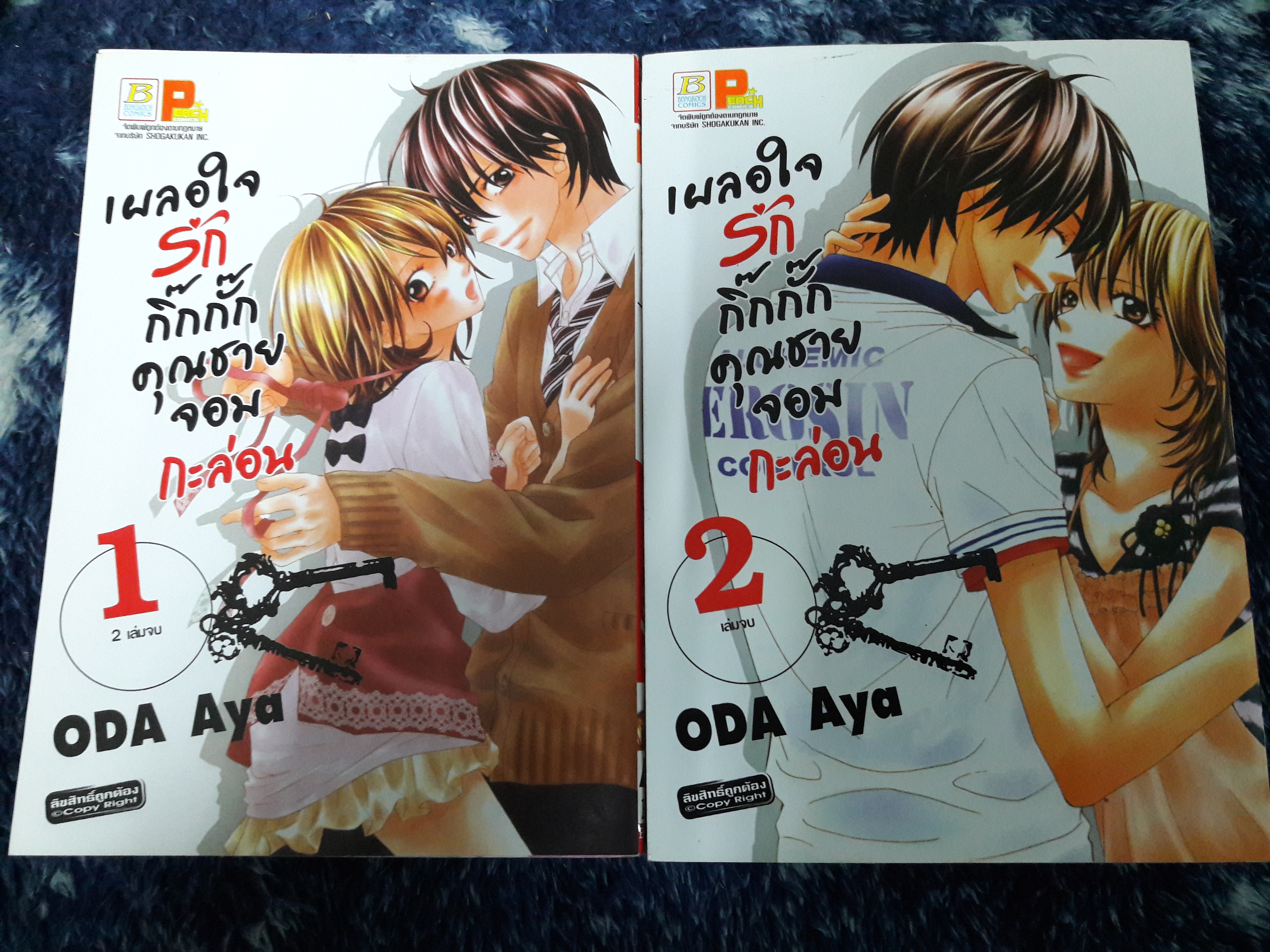 เผลอใจรักกิ๊กกั๊กคุณชายจอมกะล่อน (2เล่มจบ)