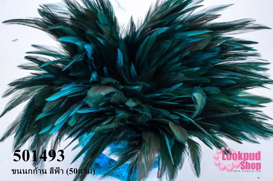 ขนนกก้าน สีฟ้า (50กรัม)