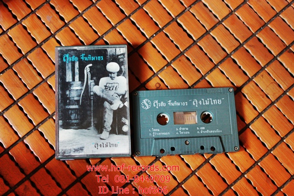 T หงา คาราวาน สุรชัย จันทิมาทร - ลุงไม้ไทย (Used Tape Cassett)