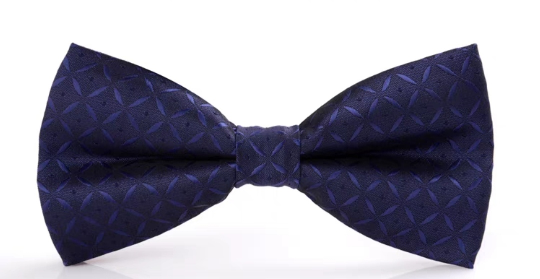 ลายพิเศษ!!หลายสี โบว์หูกระต่ายแฟชั่น169