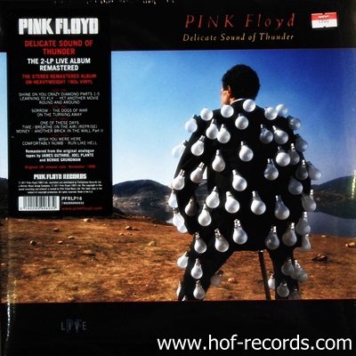 Pink Floyd - Delicate Sound Of Thunder 2Lp N.