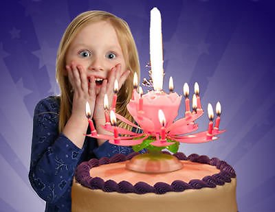 New! เทียนวันเกิดดอกไม้ มีเสียงเพลง-Music HBD Candle/ Item No. TL-N009
